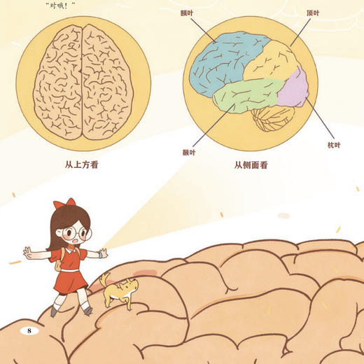 《“院士带你去探索” 科普绘本Ⅱ》（全7册） 商品图3