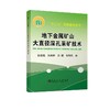 地下金属矿山大直径深孔采矿技术/孙忠铭 商品缩略图0