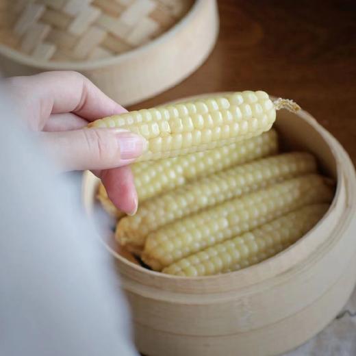 西双版纳老品种 珍珠拇指 小玉米 2斤/4斤装 商品图10