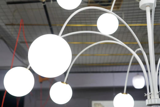 奶白球大树【运费自理】 商品图2