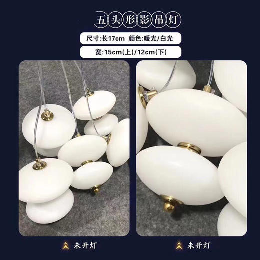 5头形影吊灯【运费自理】 商品图3