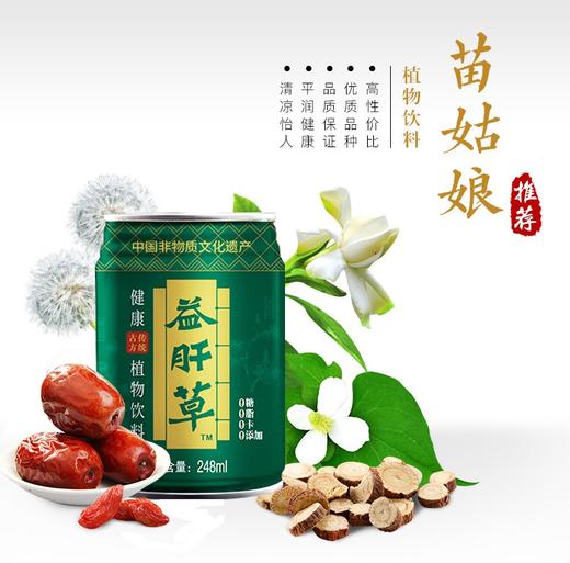 苗姑娘 益肝草 绿罐 无糖饮料310ml*12罐礼盒装 商品图5