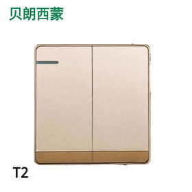 西蒙T2金色  二开