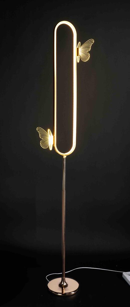 椭圆蝴蝶路引【运费自理】 商品图1