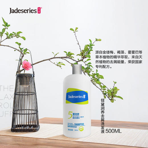 【团队研发 去屑不伤发】佳黛润养去屑洗发液 500ml 止痒去油洗发水 商品图1
