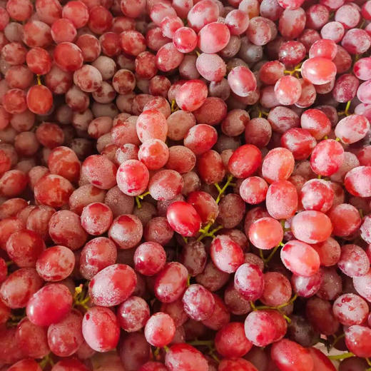 国产无籽露 - mg 鲜果配送