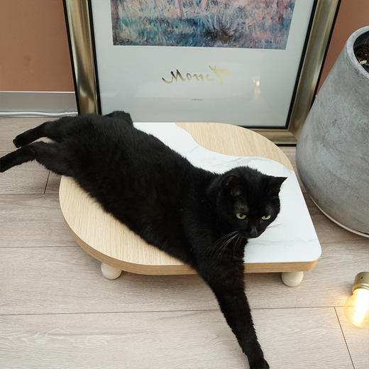 CatS夏日限定 多瑙河的夏天 猫咪瓷砖凉床小桌 人猫两用 商品图1