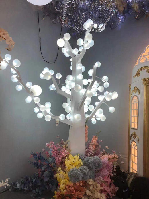 白球树【运费自理】 商品图0