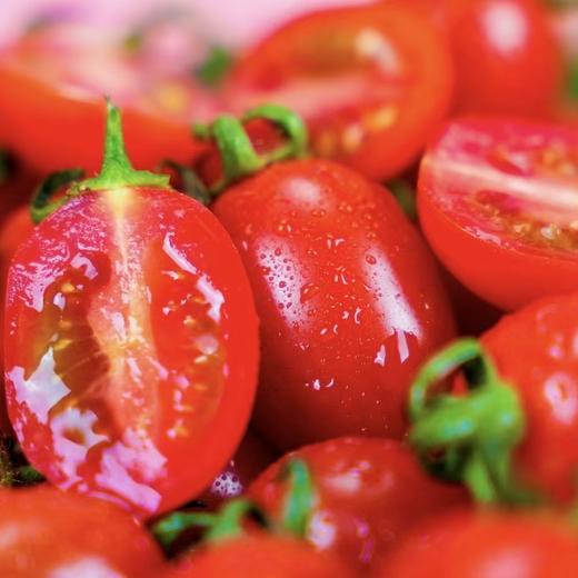 釜山小番茄  3斤家庭装  （顺丰/京东随机发货） 商品图2