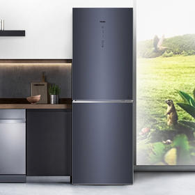 海尔（Haier）冰箱BCD-272WLHC2D0B1