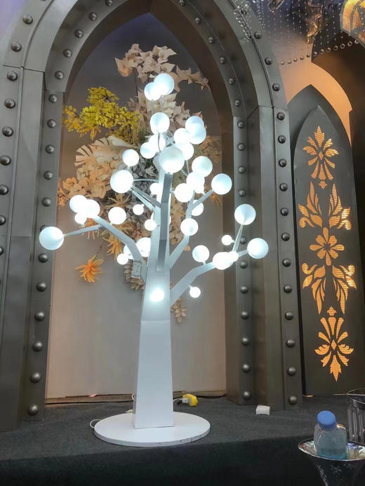 白球树【运费自理】 商品图1