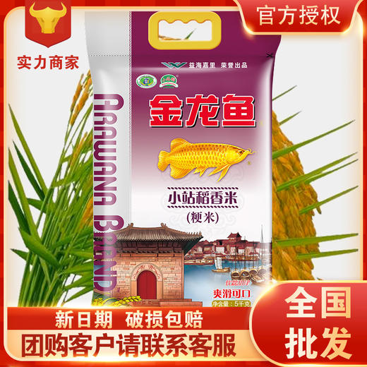 金龙鱼小站稻香米5KG厂家批发工厂代发 商品图0