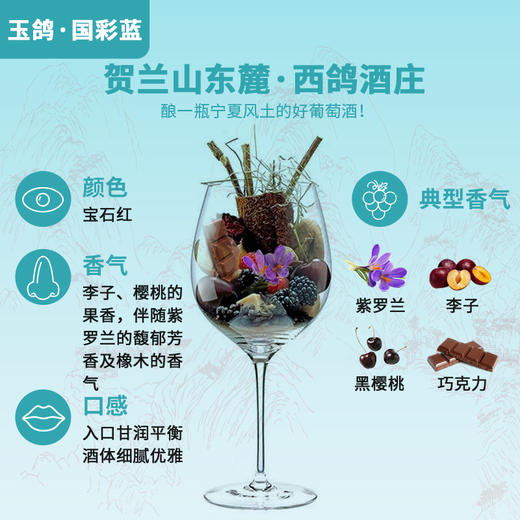 玉鸽国彩蓝干红葡萄酒 商品图5