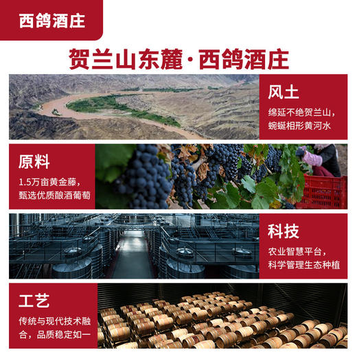【幸运抽奖】西鸽N609干红葡萄酒礼盒装一支 商品图6