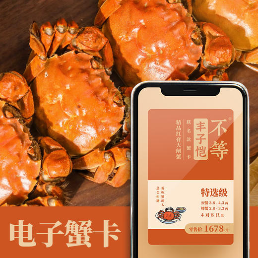 红膏大闸蟹   电子蟹卡  不等·丰子恺联名（大闸蟹提蟹发货时间：每年10.8-12.31、大师级：11月-12月底） 商品图0