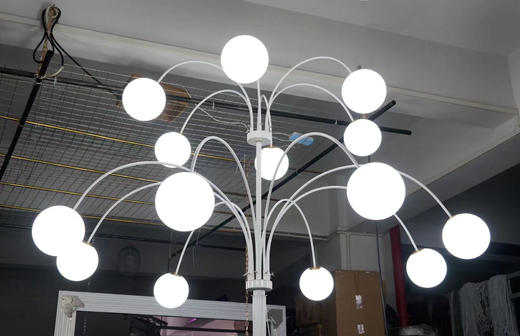 奶白球大树【运费自理】 商品图0