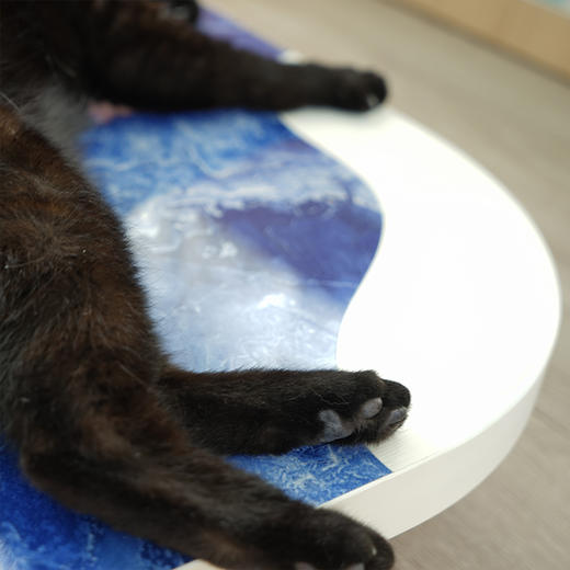 CatS夏日限定 多瑙河的夏天 猫咪瓷砖凉床小桌 人猫两用 商品图2