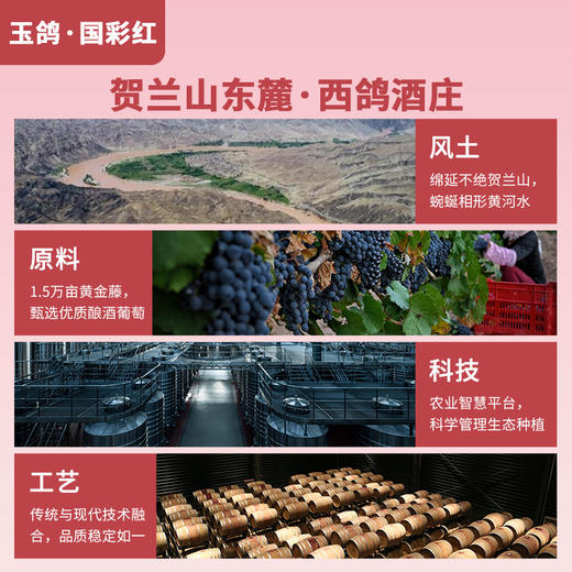 玉鸽国彩红干红葡萄酒 商品图5