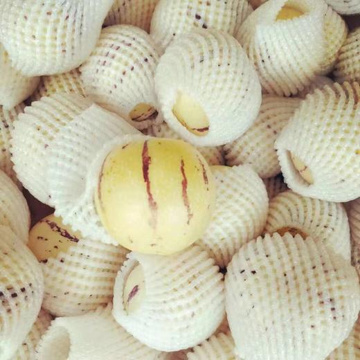 [最农公社]云南人参果清甜多汁如泉破涌 商品图8