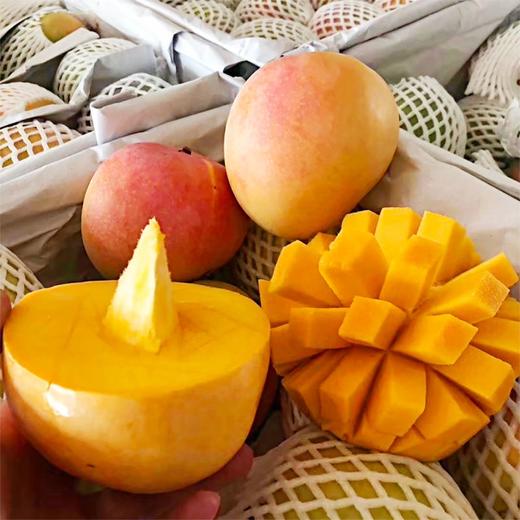 澳芒1个 约700g 商品图0