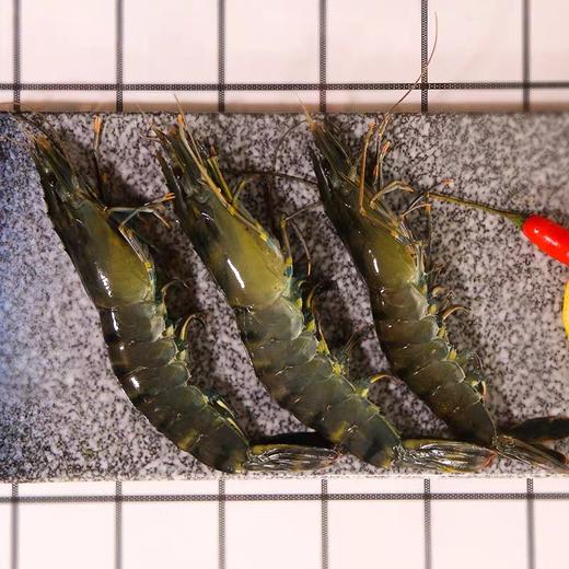 活的九节虾 ，又叫黑虎虾，1斤10一14只 商品图1