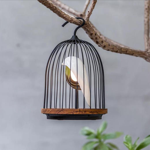 【已下架】DAQICONCEPT JINGOO无线鸟鸣灯蓝牙音响-白眉鸟/青鸟 [福利品] 商品图4