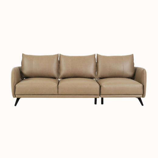 懂窝 | 普莱森顿 皮沙发 Pleasanton Leather Sofa 商品图3