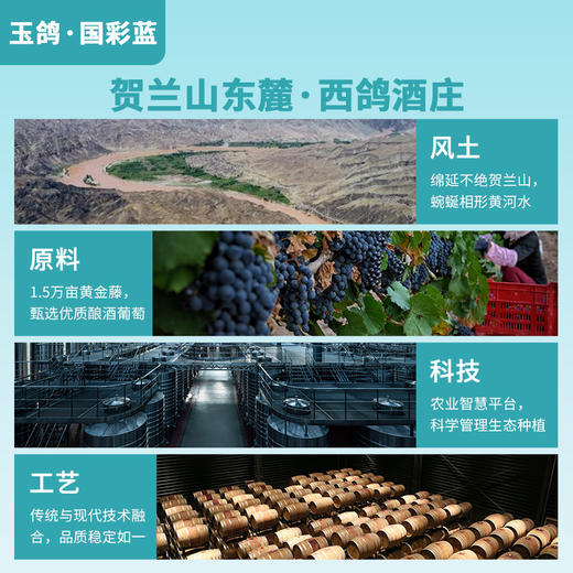 玉鸽国彩蓝干红葡萄酒 商品图4