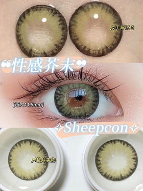 SHEEPCON  性感芥末 14.5mm【0-1000度 含有525.575】