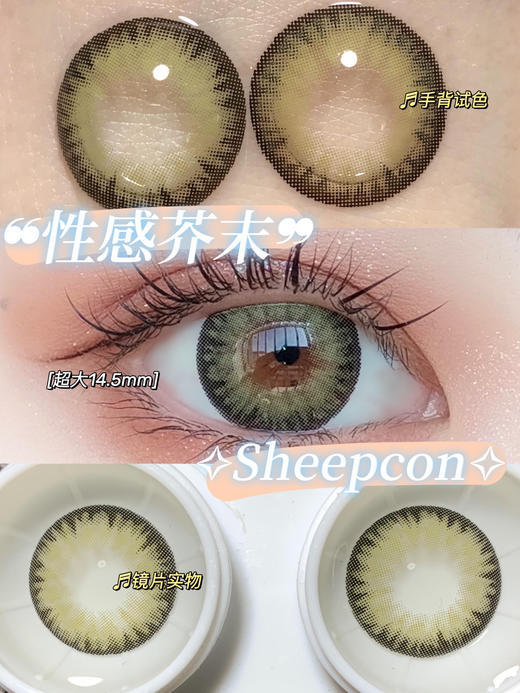 SHEEPCON  性感芥末 14.5mm【0-1000度 含有525.575】 商品图0