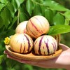 [最农公社]云南人参果清甜多汁如泉破涌 商品缩略图5