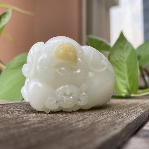 和田玉（羊脂白玉）籽料挂件--抱金猪138.05g 商品图0