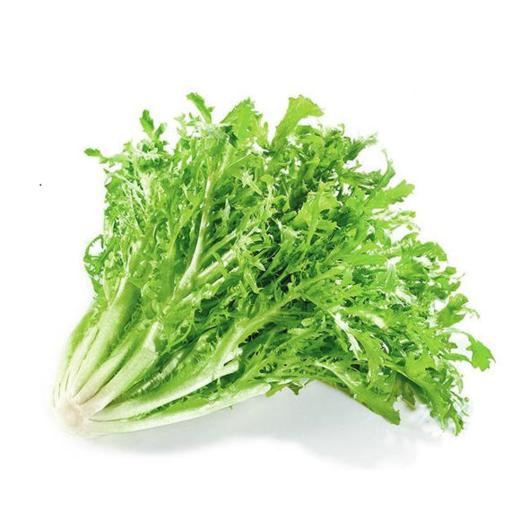 有机苦菊 商品图0