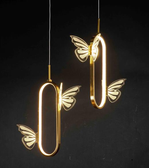 2头椭圆蝴蝶吊灯【运费自理】 商品图1