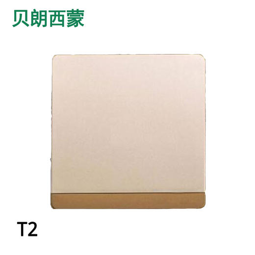 西蒙T2金色  光板 商品图0