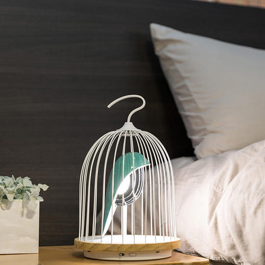 【已下架】DAQICONCEPT JINGOO无线鸟鸣灯蓝牙音响-白眉鸟/青鸟 [福利品] 商品图3