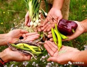  有机食品是如何种植出来的？ 