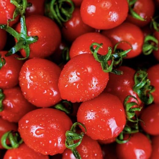 釜山小番茄  3斤家庭装  （顺丰/京东随机发货） 商品图5