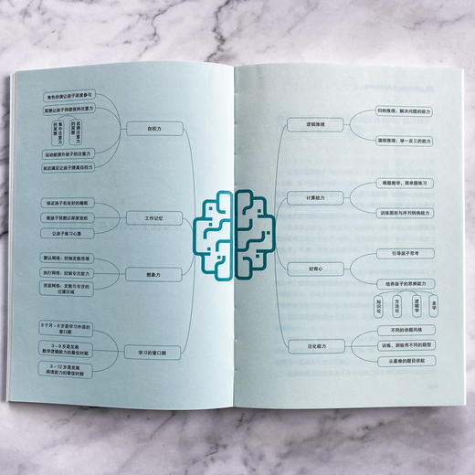 让孩子受益一生的大脑开发课 屠龙的胭脂井微博推荐 科学育儿百科激发脑科学大脑潜能脑力开发家教书0-12岁婴幼儿童 商品图9