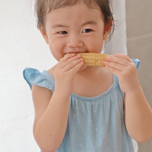 西双版纳老品种 珍珠拇指 小玉米 2斤/4斤装 商品图7