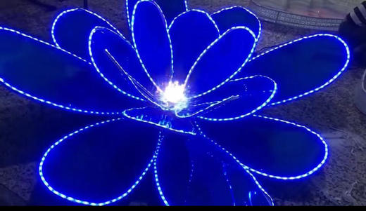 吊顶大花【运费自理】 商品图0