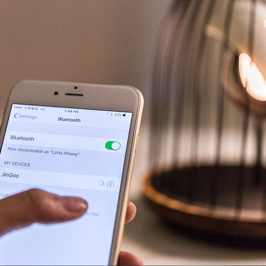 【已下架】DAQICONCEPT JINGOO无线鸟鸣灯蓝牙音响-金鸟 [福利品] 商品图1