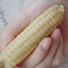 西双版纳老品种 珍珠拇指 小玉米 2斤/4斤装 商品缩略图9