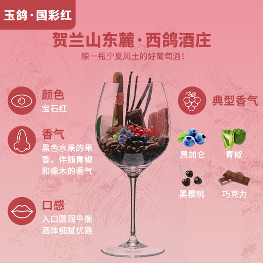 玉鸽国彩红干红葡萄酒 商品图3