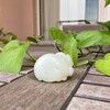 和田玉（羊脂白玉）籽料挂件--抱金猪138.05g 商品缩略图2