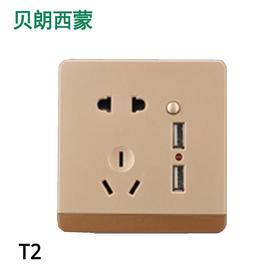 西蒙T2金色 五孔USB