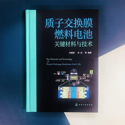 质子交换膜燃料电池关键材料与技术 商品图2