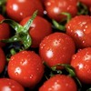 釜山小番茄  3斤家庭装  （顺丰/京东随机发货） 商品缩略图6