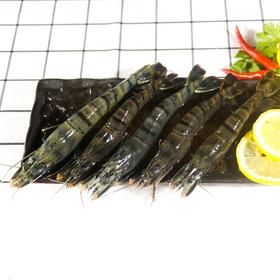 活的九节虾 ，又叫黑虎虾，1斤10一14只