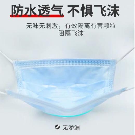 一次性成人口罩/盒100个 商品图2